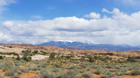 A field with a mountain in the background Stock Footage 155581454
