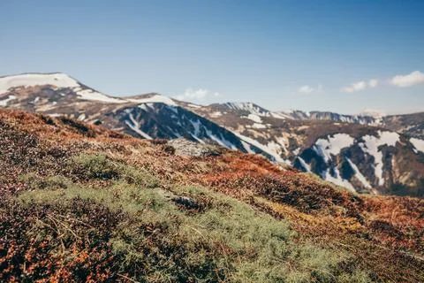 A field with a mountain in the background Foto stock