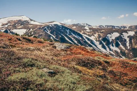 A field with a mountain in the background Foto stock