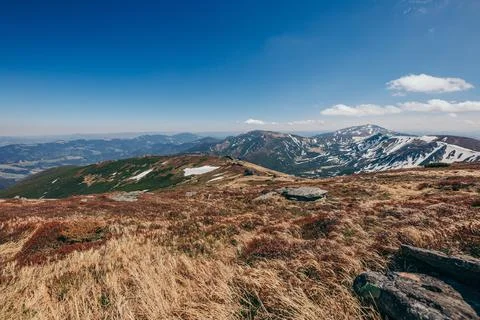 A field with a mountain in the background Stock Photos