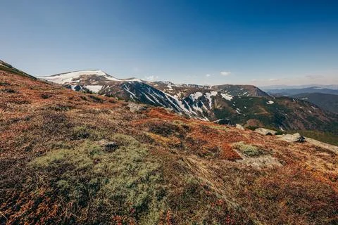 A field with a mountain in the background Stock Photos