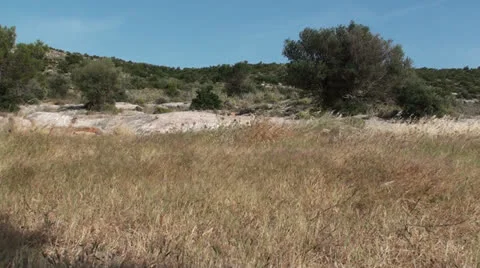 Field on the mountain Stock Footage 23135435