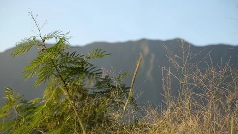 Field to mountain Stock Footage 93593174