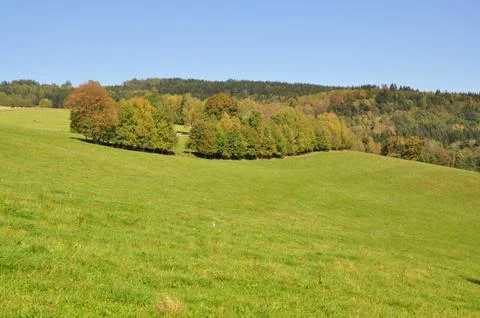 Field in the mountain Stock Photos