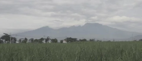 FIELD WITH MOUNTAIN VIEW Stock Footage 231542887