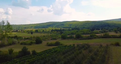 From field to mountains Stock Footage 248257449