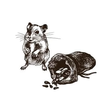Field Mouse or Rat Character Standing Beside the Grain Sack Isolated on White Stock Illustration