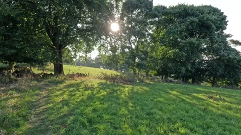 Field moving intowards gate Stock Footage 283402291