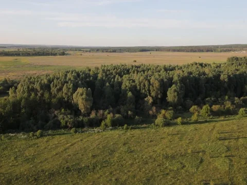 Field. Nature.Summer Stock Footage 100321817