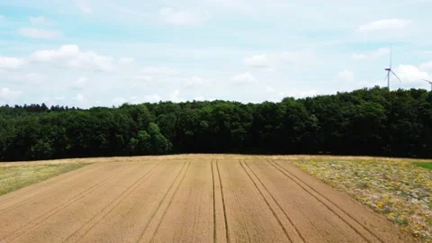 Field near the forest and wind turbines Stock Footage 161067414