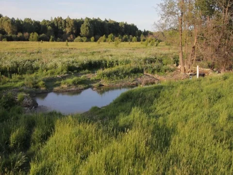 Field near the river. Nature.Summer sunny day Stock Footage 100321753