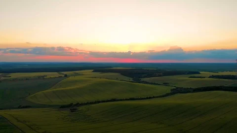 Field of oat on sunset Stock Footage 113682081