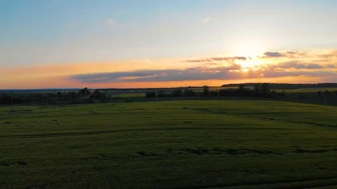 Field of oat on sunset Stock Footage 113682362