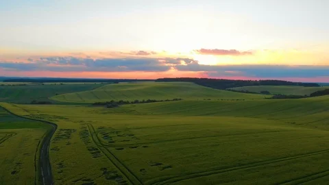 Field of oat on sunset Stock Footage 113682732