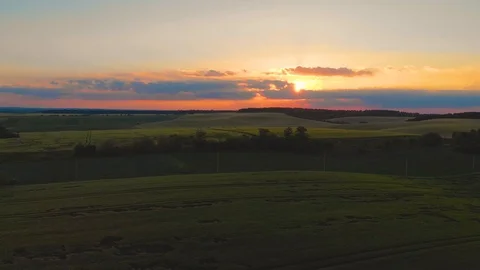 Field of oat on sunset Stock Footage 113682971