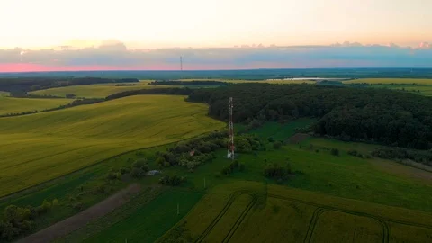 Field of oat on sunset Stock Footage 113683804