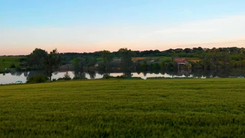 Field of oat on sunset Stock Footage 113684645