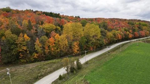 Field on one side and a dense colorful forest on the other Stock Photos