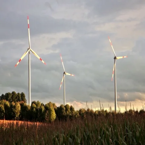 A field of operating wind turbines at sunset Stock Footage 69549965