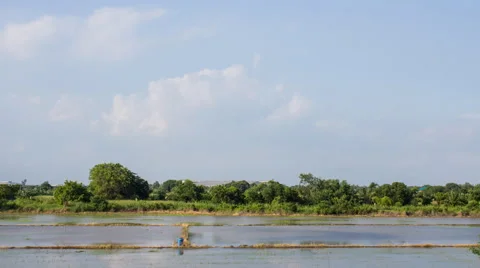 Field with overcast sky, Time lapse Stock Footage 45377628