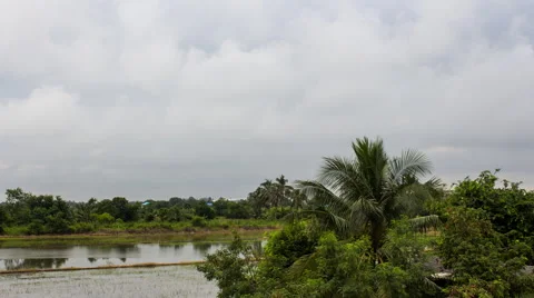 Field with overcast sky, Time lapse Stock Footage 45403319