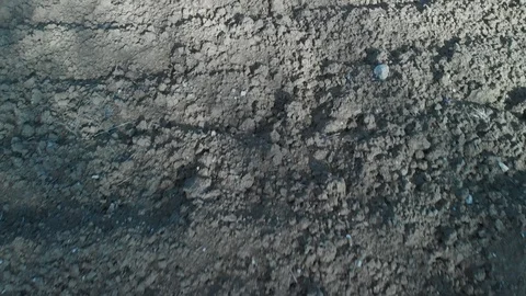 Field overfly 스톡 동영상 98046779