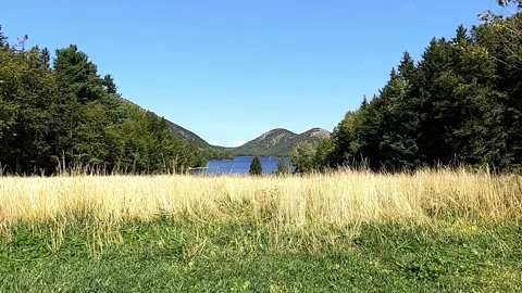 Field Overlooking Jordan Pond Video stock 229598142