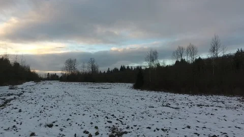 Field, Pacific Northwest, Winter, Trees, Sunset Stock Footage 86294475