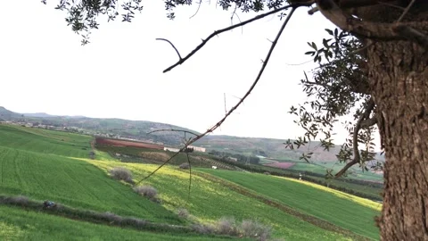 FIELD IN PARIS Stock Footage 150441339