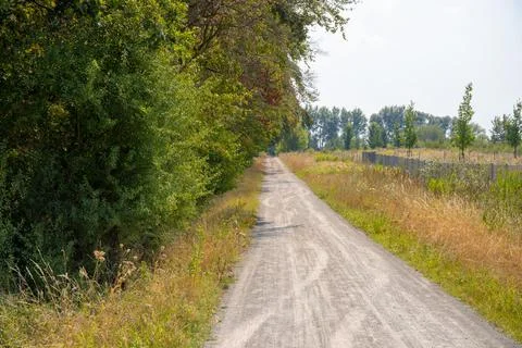 Field path at the edge of the forest in summer Stock Photos