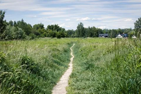 Field with a path formed by pedestrian between grass among meadows against a  Stock Photos