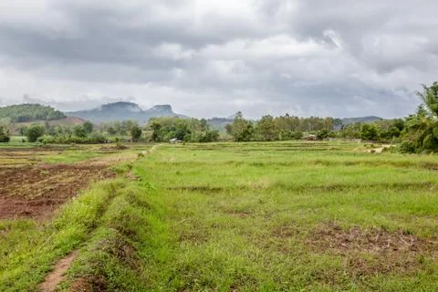 Field path Stock Photos