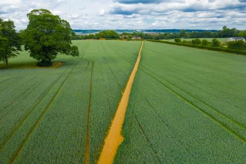 Field paths Stock Photos