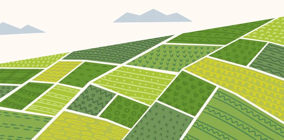 Field pattern. Farm grassland texture, geometric forest countryside with country 스톡 일러스트