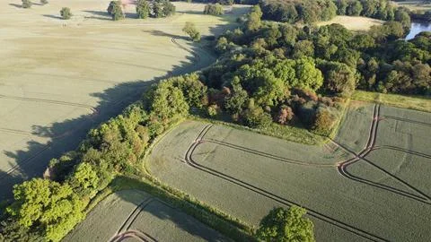 Field With Patterns 库存照片