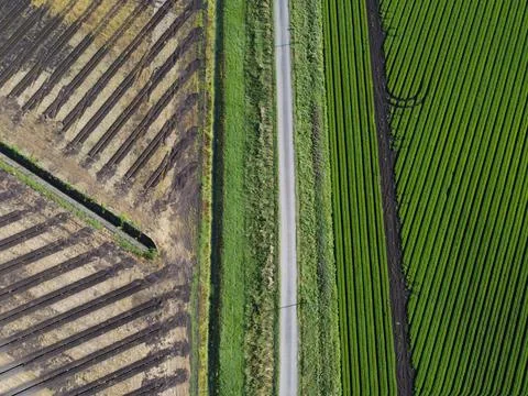 Field Patterns Stock Photos