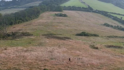 A field with a person walking in it Video stock 297950800