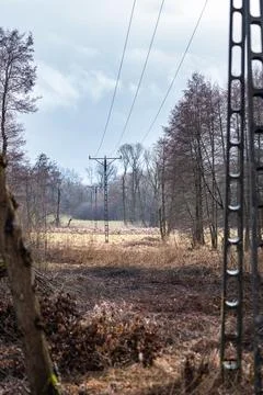 Field Perspective with Power Lines Stock Photos