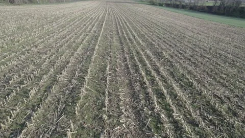 Field perspectives Stock Footage 153033604