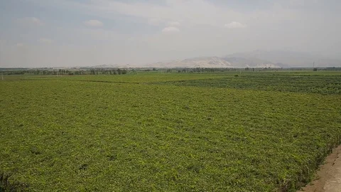 A field in Peru Stock Footage 103043192