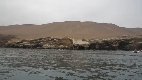 A field in peru 動画素材 103045013