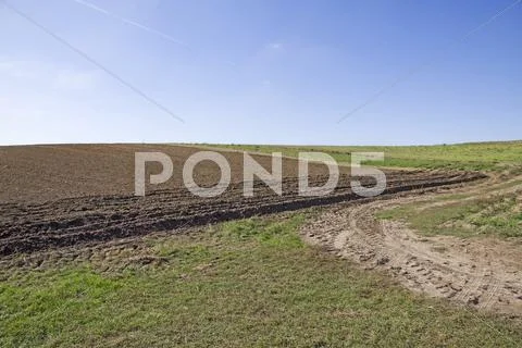 Field Stock Photos