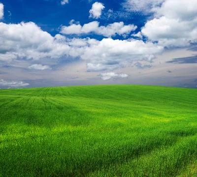 Field Foto stock