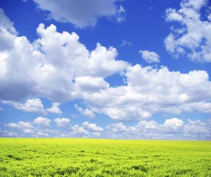 Field Foto stock