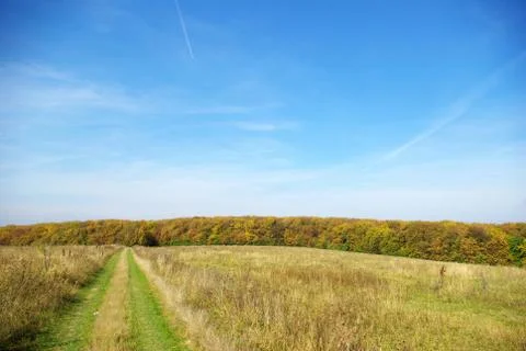 Field Stock Photos