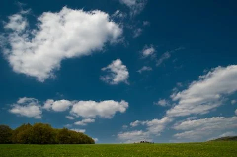 In the field Foto stock