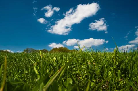 In the field Stock Photos