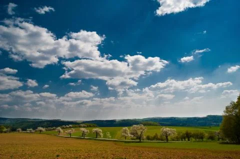 In the field Stock Photos
