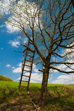 In the field Stock Photos