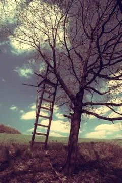 In the field Stock Photos